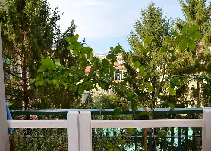 Luiselle Charming Center Maison d'hôtes Sorrente